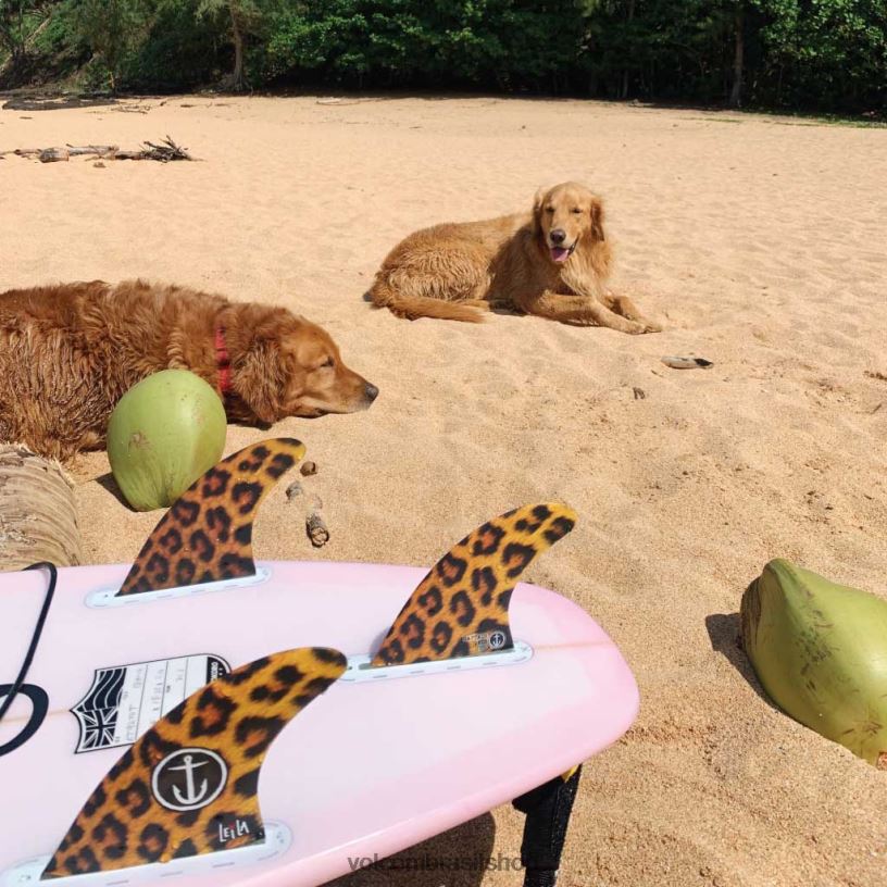 br Volcom homens surfar leila hurst chita pequena guepardo 88NNJ733