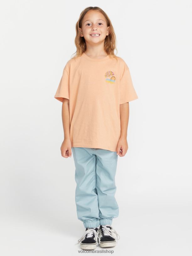 br Volcom garotas roupas camiseta namorado realmente feliz argila 88NNJ1331