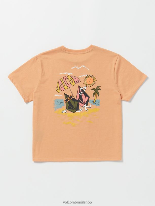br Volcom garotas roupas camiseta namorado realmente feliz argila 88NNJ1331