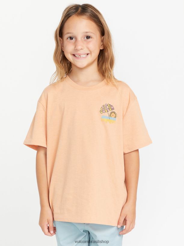 br Volcom garotas roupas camiseta namorado realmente feliz argila 88NNJ1331