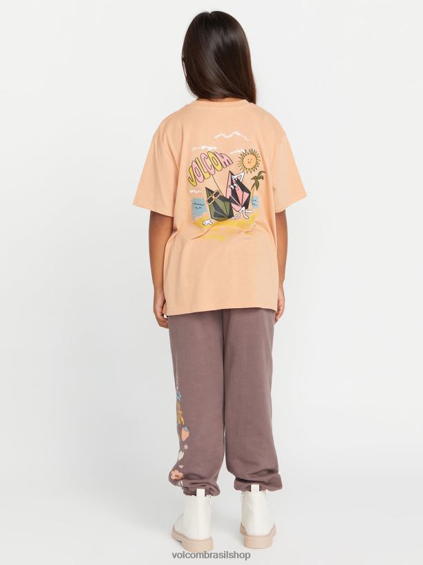 br Volcom garotas roupas camiseta namorado realmente feliz argila 88NNJ1331