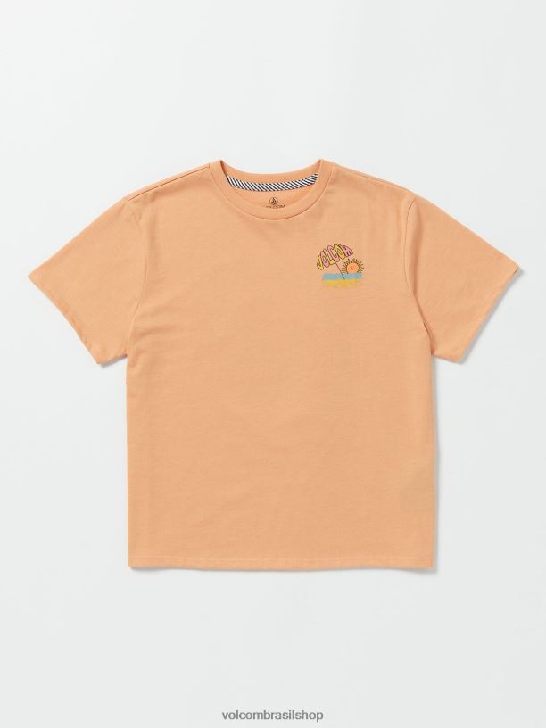 br Volcom garotas roupas camiseta namorado realmente feliz argila 88NNJ1331